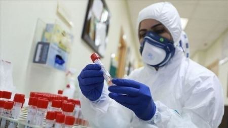 تحديث الحالة الوبائية في محافظة جنين حتى صباح يوم الثلاثاء